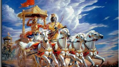 81k974mPmwL. AC UF10001000 QL80 sanatan