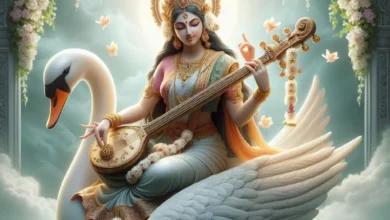 5717ab9a f7bc 4c79 9ce2 36a2db9ba467 sanatan