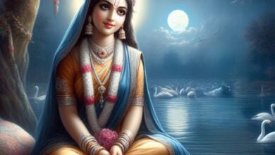 65edbcc691710b0008ecb963 sanatan