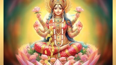 91wXzQvBDwL. AC UF10001000 QL80 sanatan