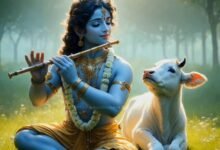 b84d10c7b3d644834531194ab56b5ba8 sanatan