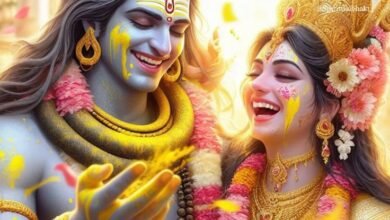 fc8414187a42484aeb445e2f638f571a sanatan