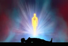 human body have a soul txj9 sanatan