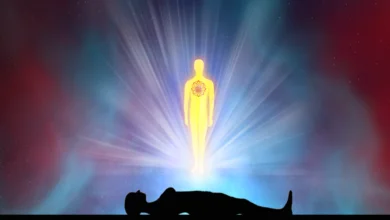 human body have a soul txj9 sanatan