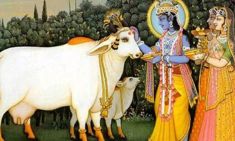 krishna bhagwan cows sanatan