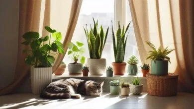 Which Plant We Should Keep in Home for Peace & Energy | Vastu Guide