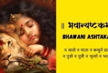 Bhavani Ashtakam Lyrics in Sanskrit & Meaning | भवान्यष्टकम्