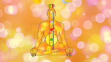 Scientific explanation of chakras